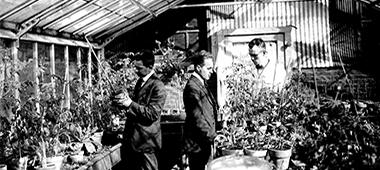 three man in a greenhouse (black & white image)