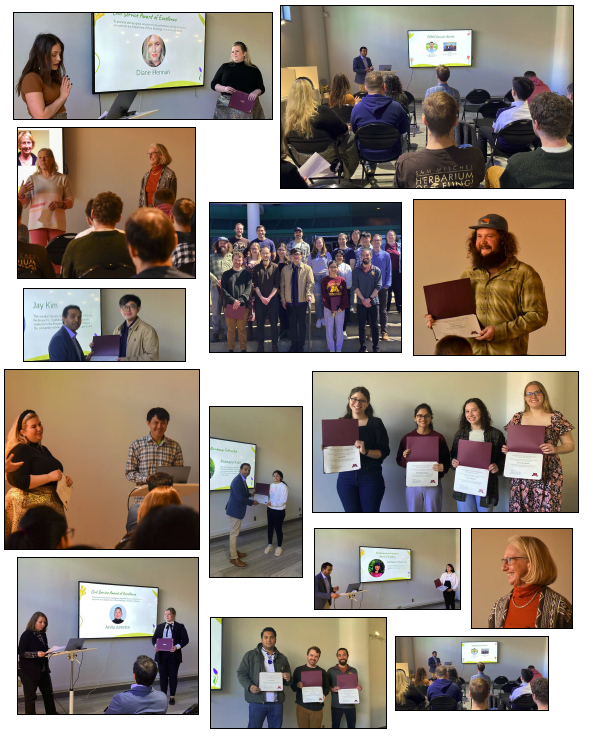 collage of images of award winners holding certificates from 2024 awards day
